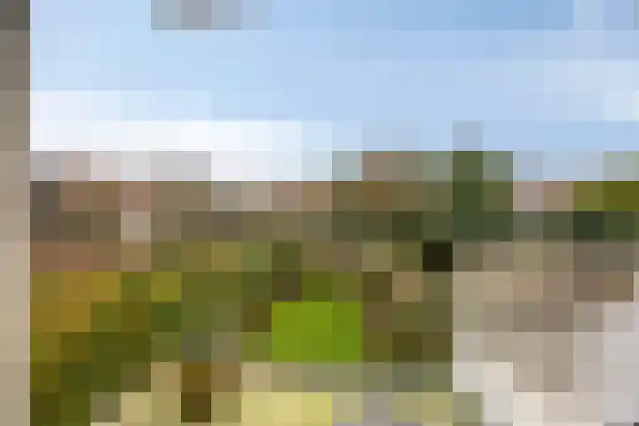 Willem de Zwijgerlaan 188 Alkmaar thumbnail 4
