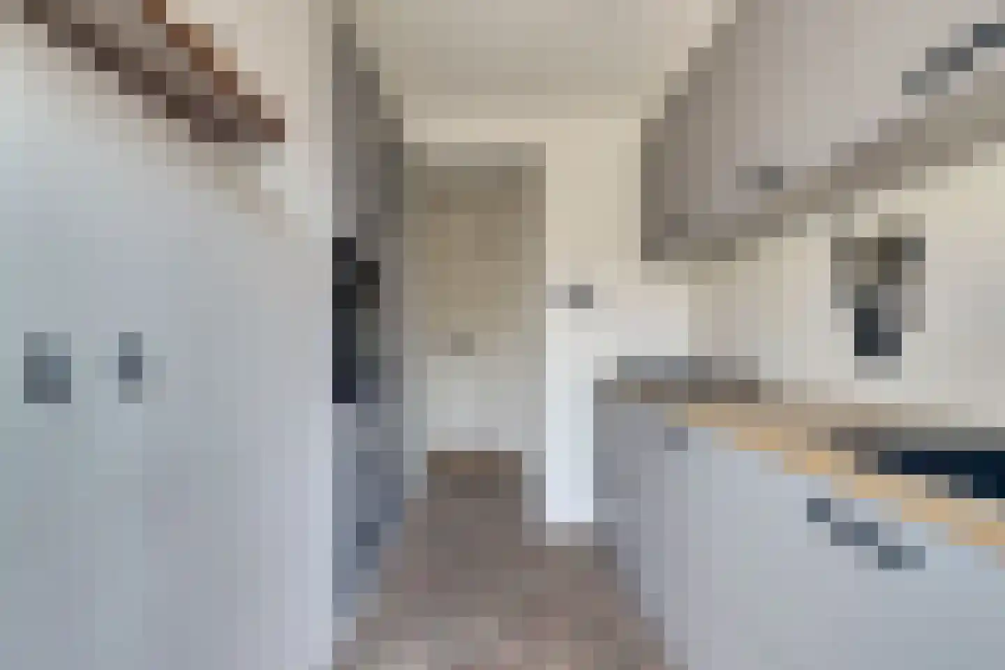 Willem de Zwijgerlaan 19 Katwijk thumbnail 28