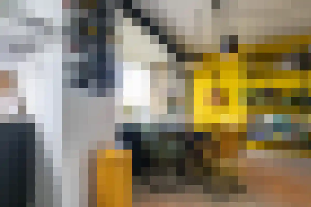 Willem de Zwijgerlaan 192 Alkmaar thumbnail 15