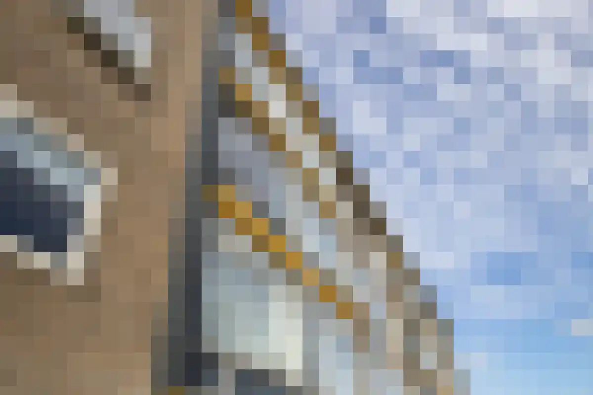Willem de Zwijgerlaan 192 Alkmaar thumbnail 26