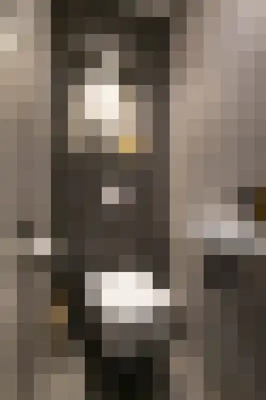 Willem de Zwijgerlaan 192 Alkmaar thumbnail 7