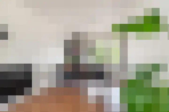 Willem de Zwijgerlaan 195 Alkmaar thumbnail 4