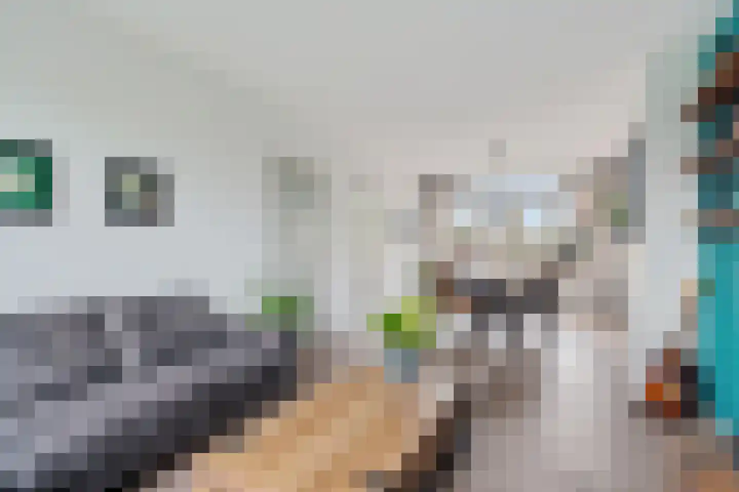 Willem de Zwijgerlaan 20 Alphen aan den Rijn thumbnail 10