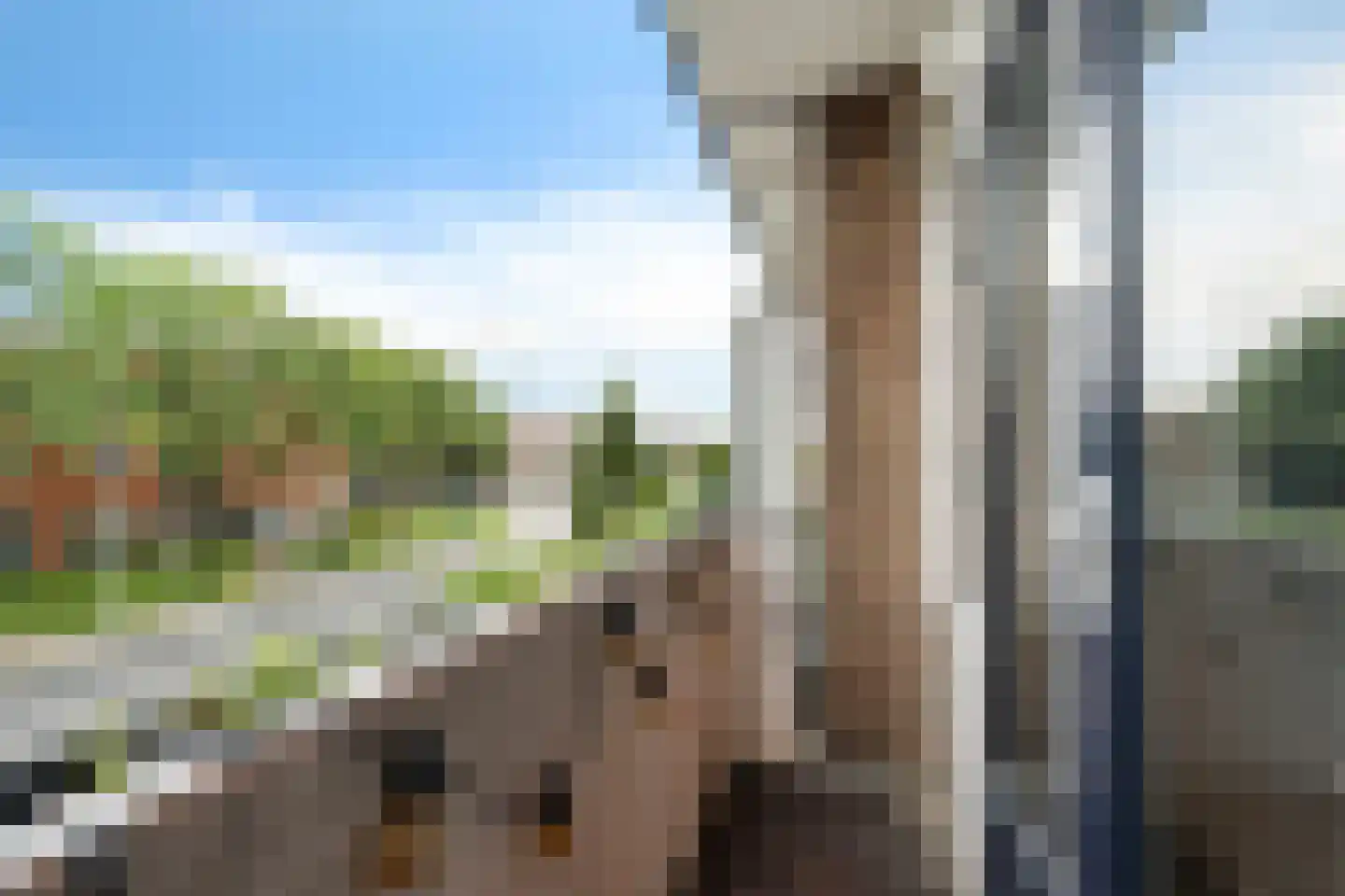 Willem de Zwijgerlaan 20 Alphen aan den Rijn thumbnail 16