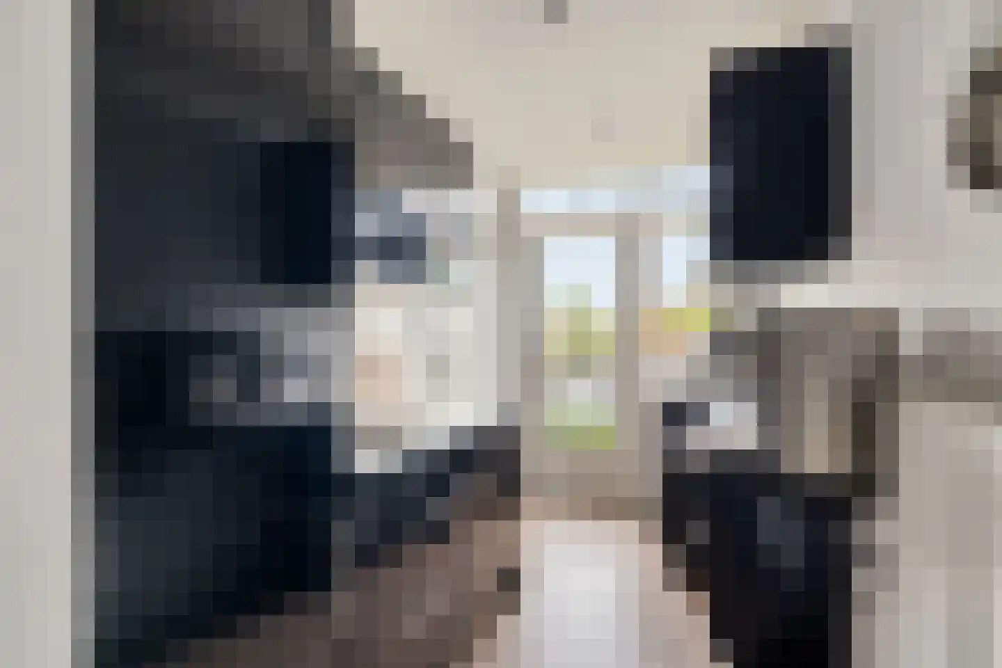 Willem de Zwijgerlaan 20 Alphen aan den Rijn thumbnail 18