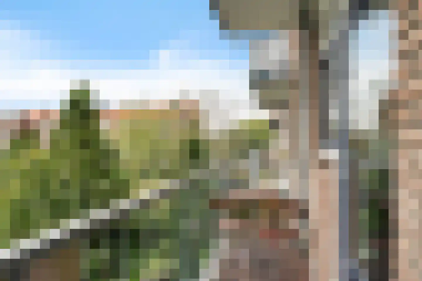 Willem de Zwijgerlaan 20 Alphen aan den Rijn thumbnail 23
