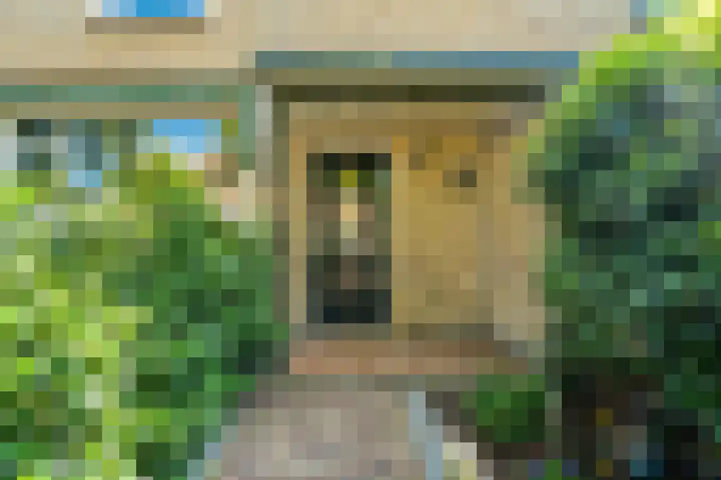 Willem de Zwijgerlaan 20 Den Hoorn thumbnail 11