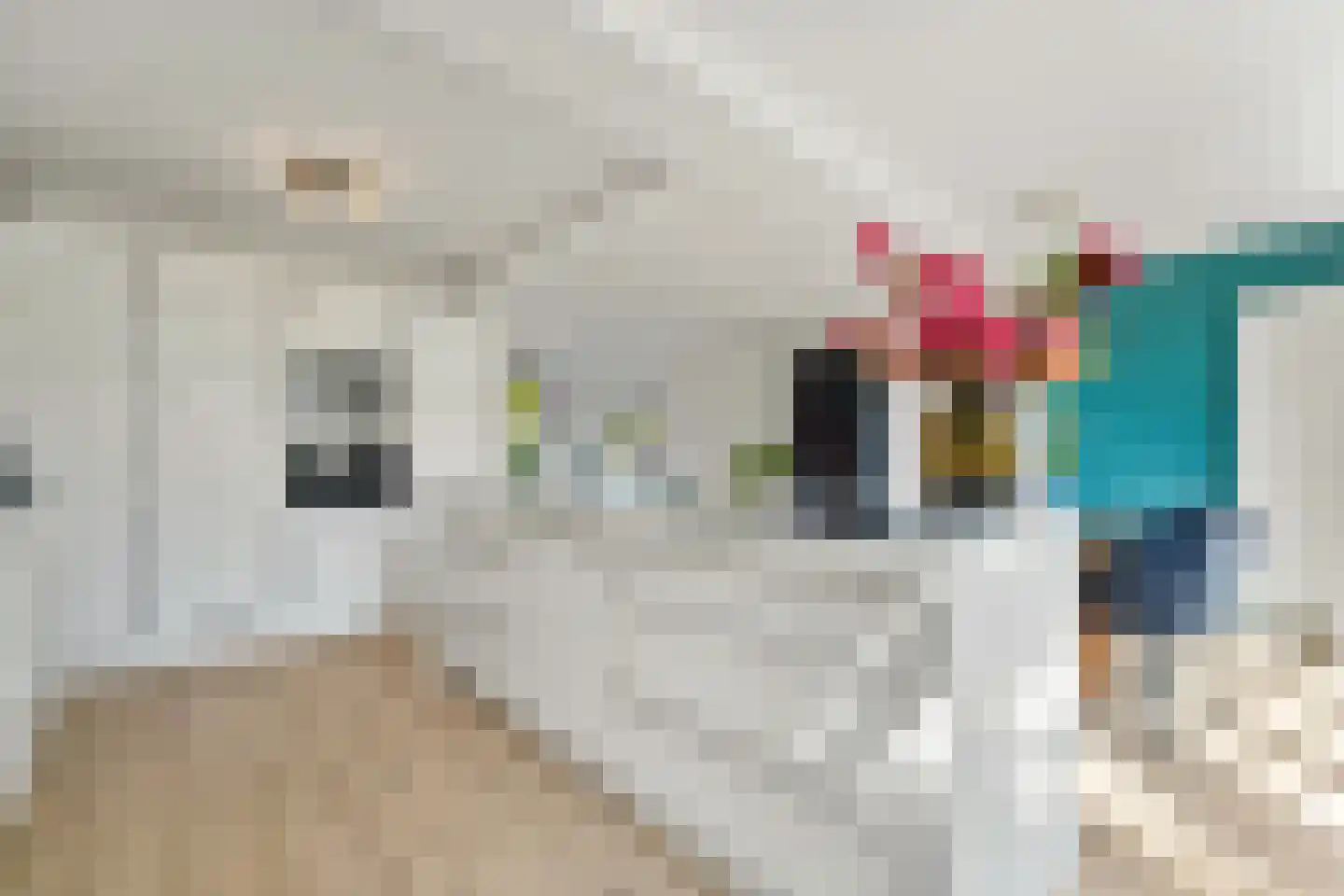 Willem de Zwijgerlaan 20 Den Hoorn thumbnail 23