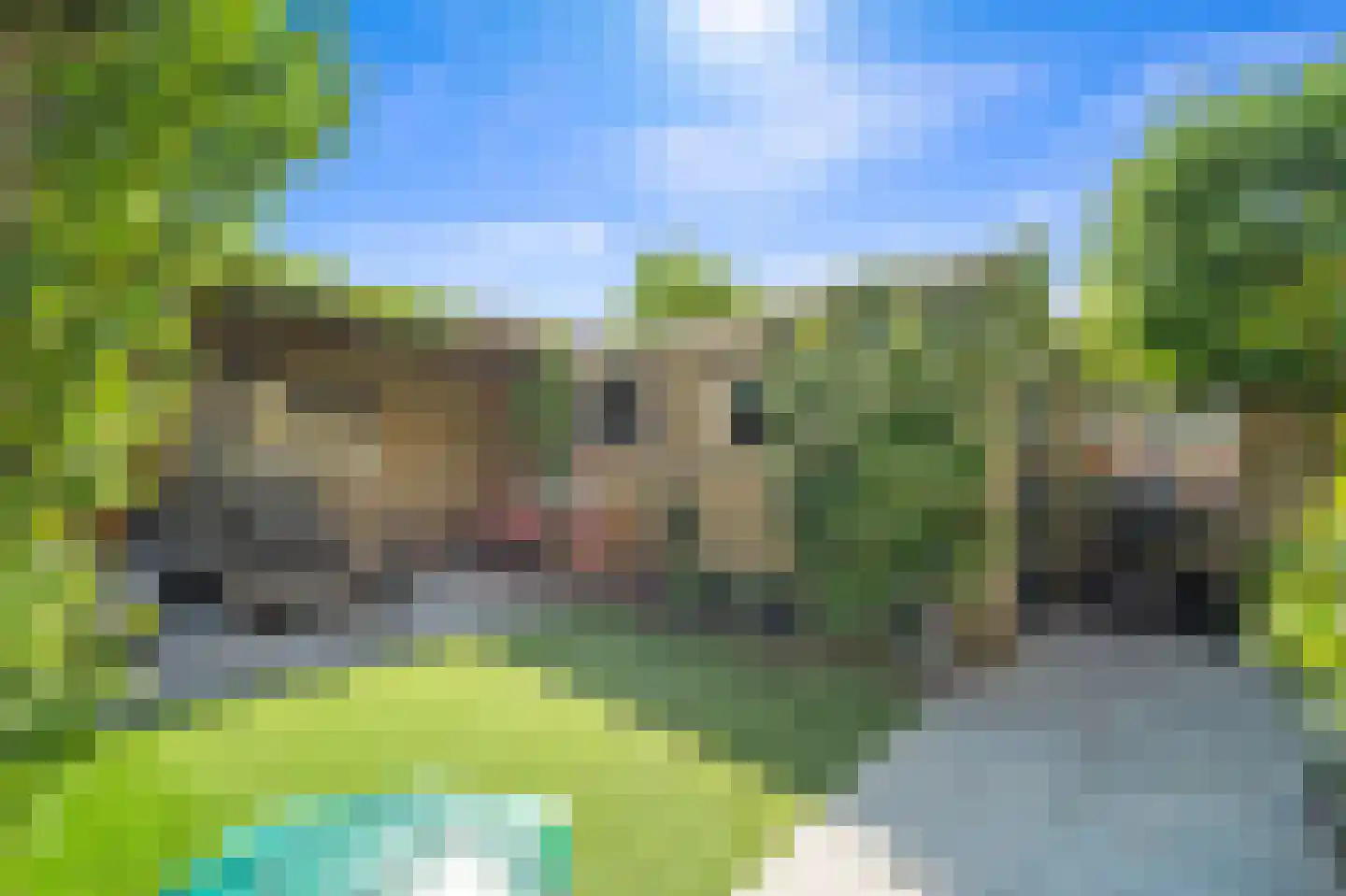 Willem de Zwijgerlaan 20 Den Hoorn thumbnail 25