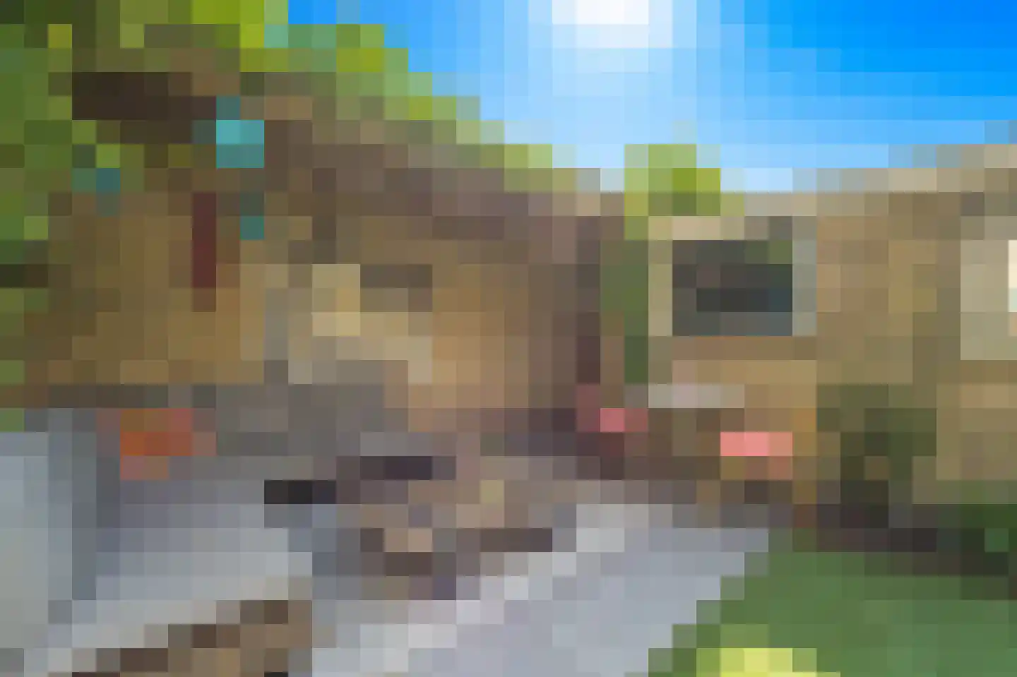 Willem de Zwijgerlaan 20 Den Hoorn thumbnail 28