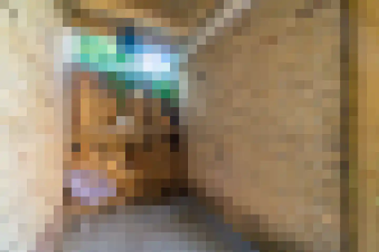Willem de Zwijgerlaan 20 Den Hoorn thumbnail 29
