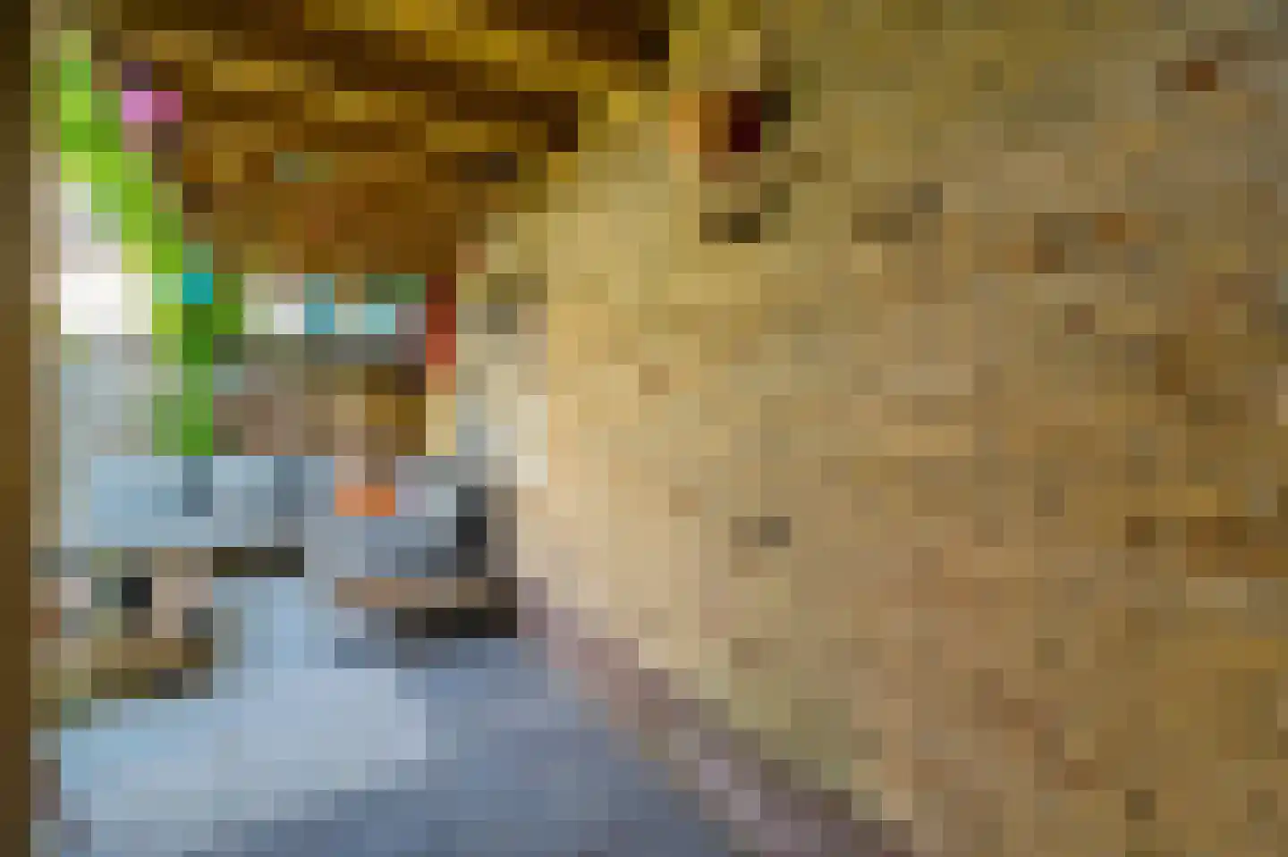 Willem de Zwijgerlaan 20 Den Hoorn thumbnail 30