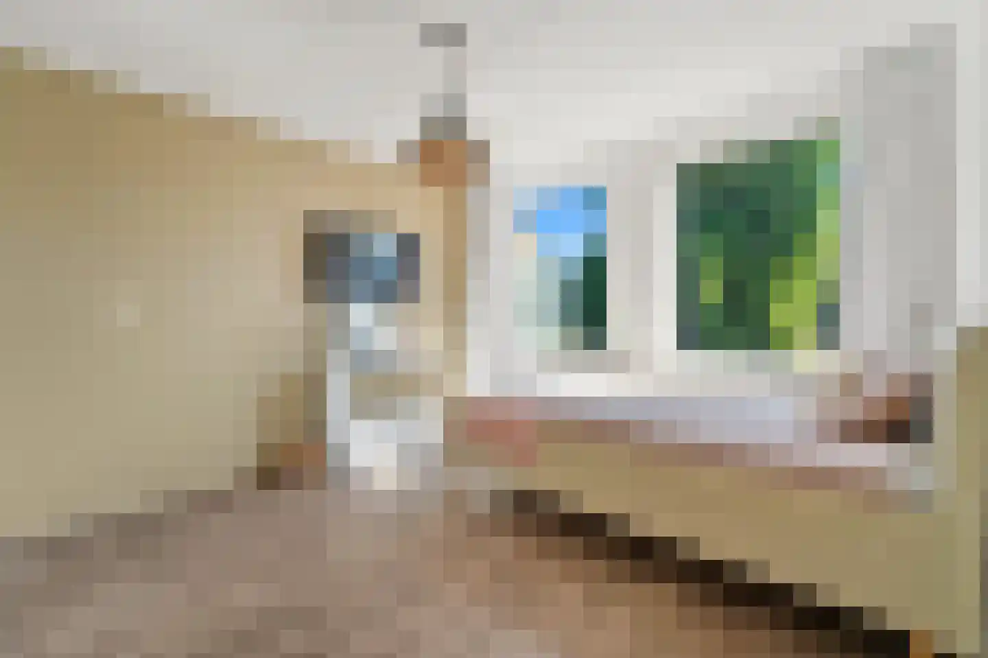 Willem de Zwijgerlaan 20 Den Hoorn thumbnail 43