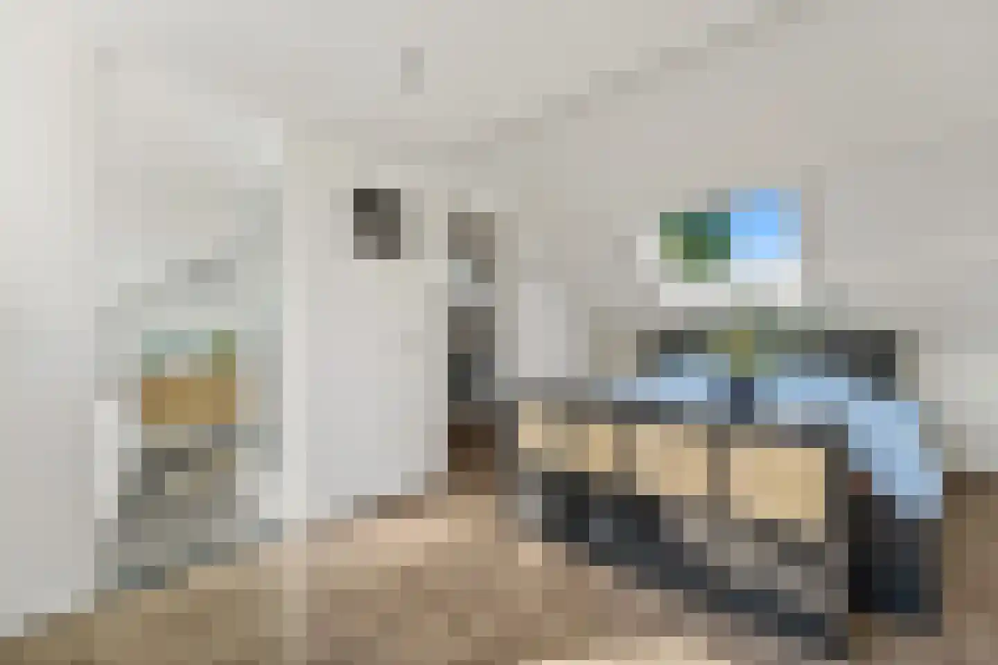 Willem de Zwijgerlaan 20 Den Hoorn thumbnail 56