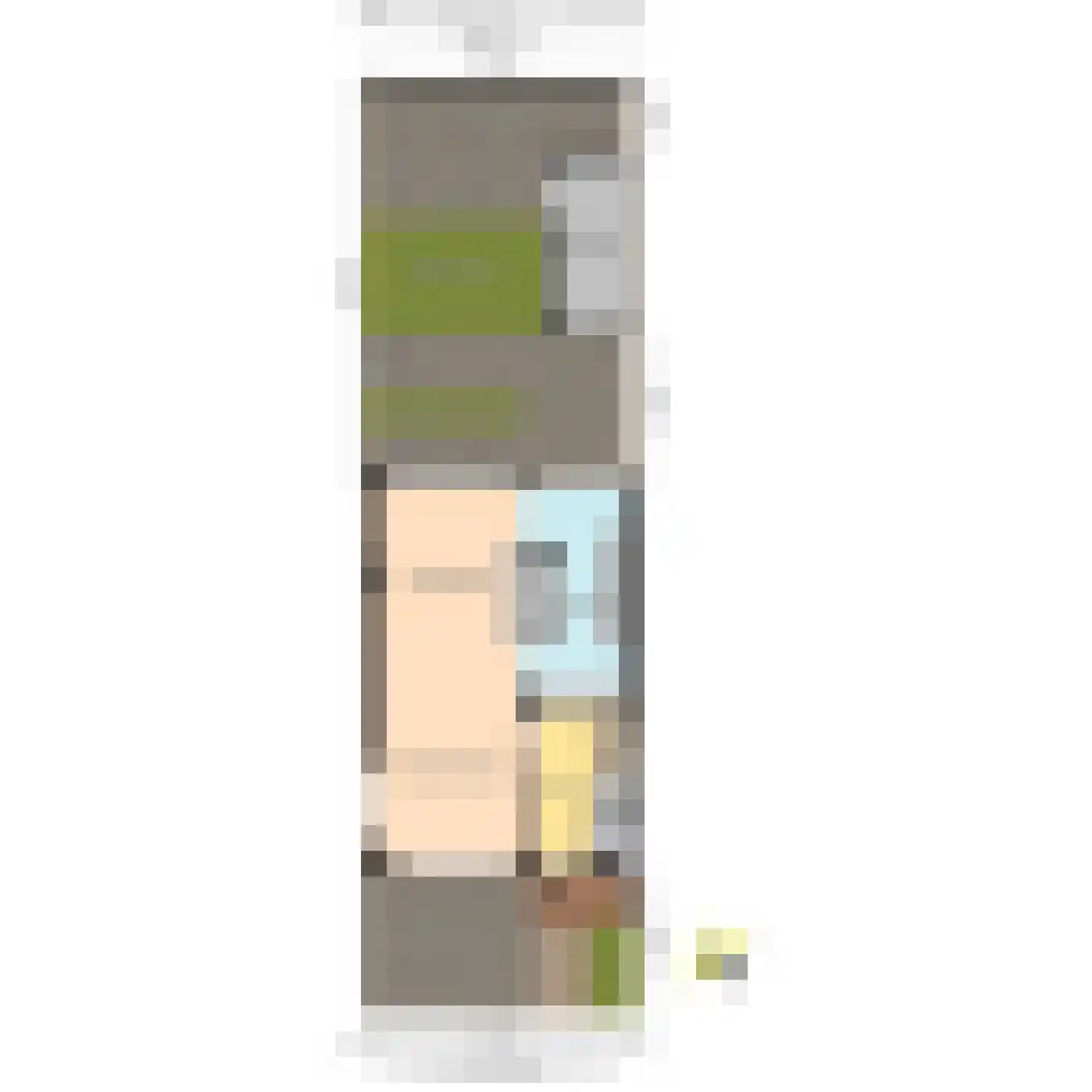 Willem de Zwijgerlaan 20 Den Hoorn thumbnail 73