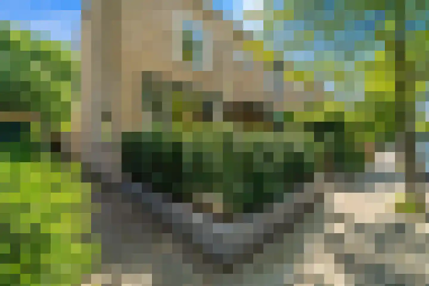 Willem de Zwijgerlaan 20 Den Hoorn thumbnail 8