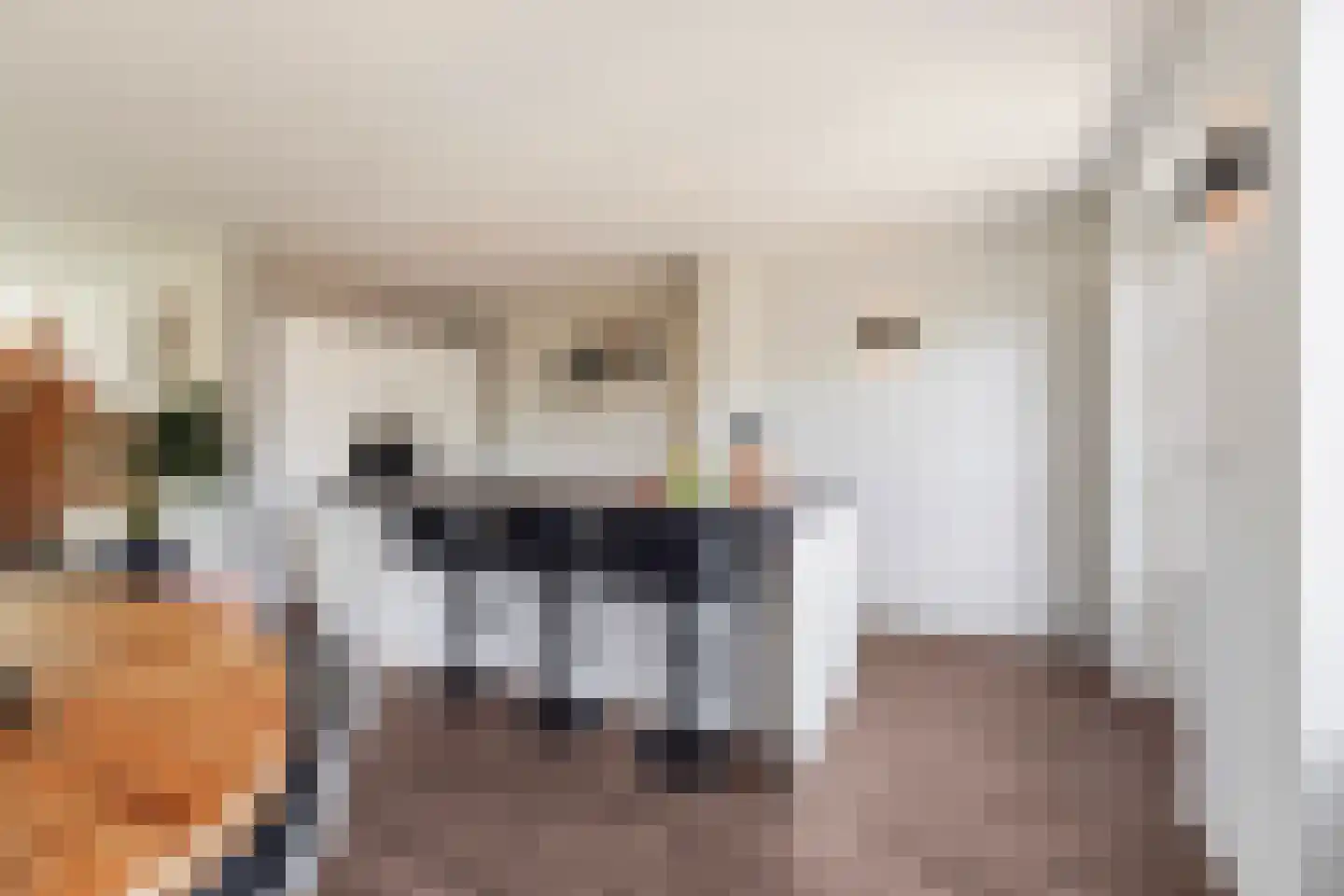 Willem de Zwijgerlaan 20 Kaatsheuvel thumbnail 13