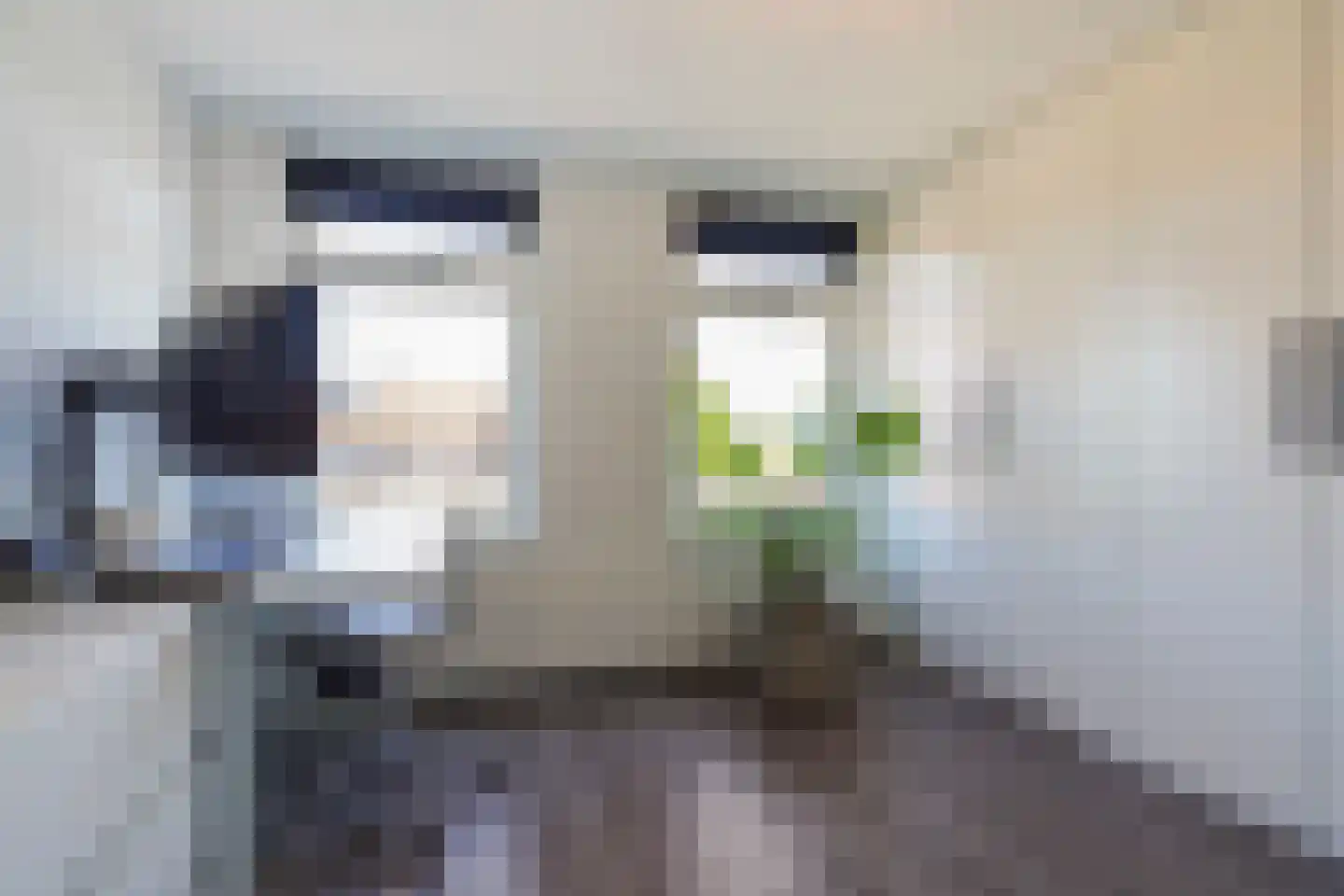 Willem de Zwijgerlaan 20 Kaatsheuvel thumbnail 25