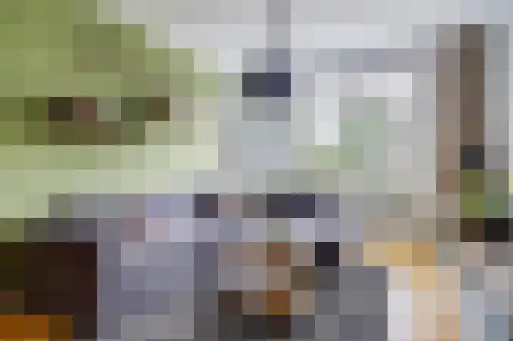 Willem de Zwijgerlaan 204 Alkmaar thumbnail 10