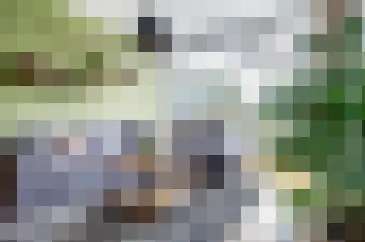 Willem de Zwijgerlaan 204 Alkmaar thumbnail 11