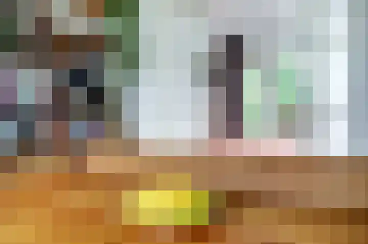 Willem de Zwijgerlaan 204 Alkmaar thumbnail 12