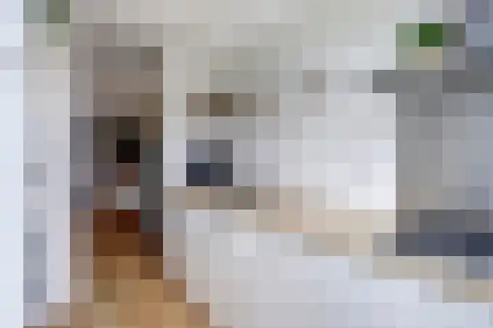 Willem de Zwijgerlaan 204 Alkmaar thumbnail 13