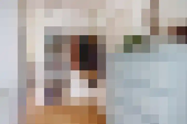 Willem de Zwijgerlaan 204 Alkmaar thumbnail 15