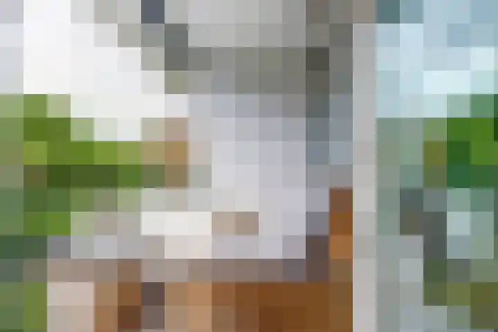 Willem de Zwijgerlaan 204 Alkmaar thumbnail 22