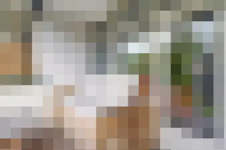 Willem de Zwijgerlaan 204 Alkmaar thumbnail 24