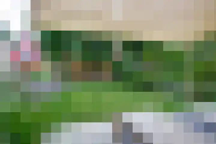 Willem de Zwijgerlaan 204 Alkmaar thumbnail 25