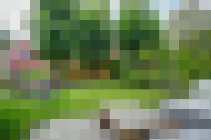 Willem de Zwijgerlaan 204 Alkmaar thumbnail 29
