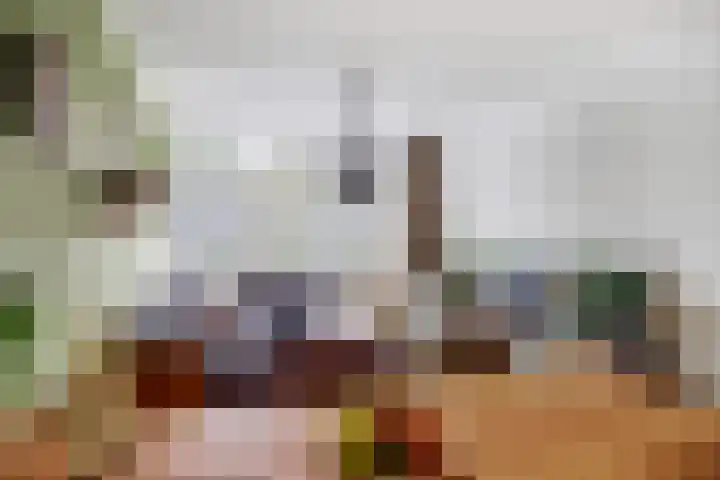 Willem de Zwijgerlaan 204 Alkmaar thumbnail 7