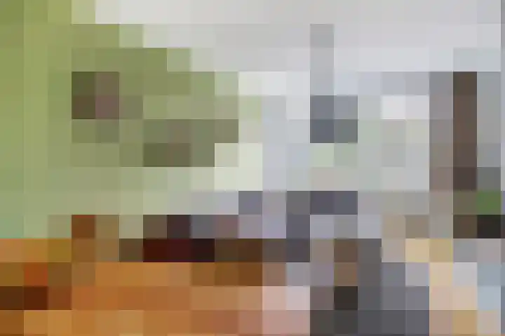 Willem de Zwijgerlaan 204 Alkmaar thumbnail 8