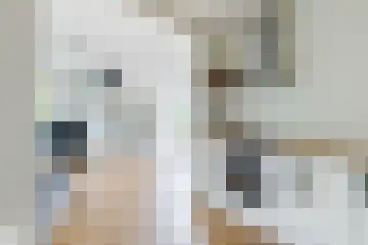 Willem de Zwijgerlaan 207 3 Amsterdam thumbnail 13