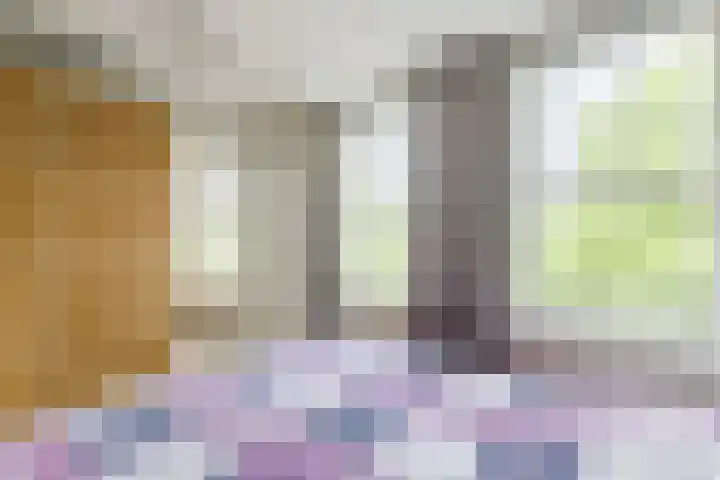 Willem de Zwijgerlaan 207 3 Amsterdam thumbnail 16