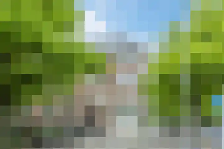 Willem de Zwijgerlaan 207 3 Amsterdam foto 2