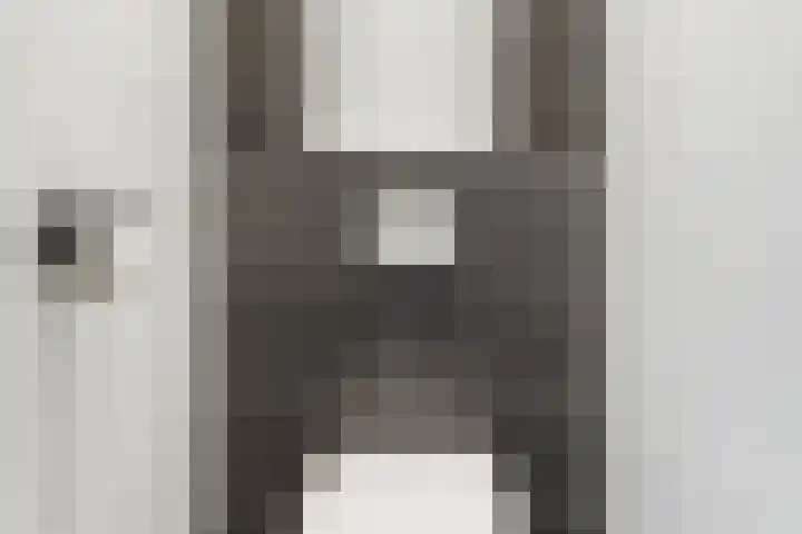 Willem de Zwijgerlaan 207 3 Amsterdam thumbnail 20