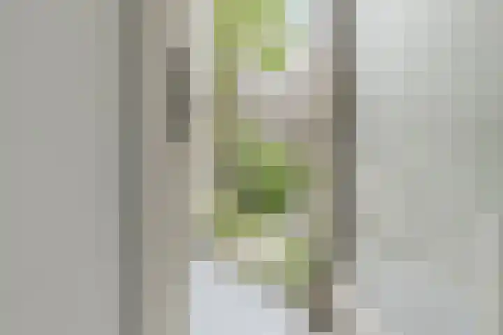 Willem de Zwijgerlaan 207 3 Amsterdam thumbnail 22
