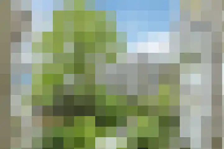 Willem de Zwijgerlaan 207 3 Amsterdam thumbnail 23