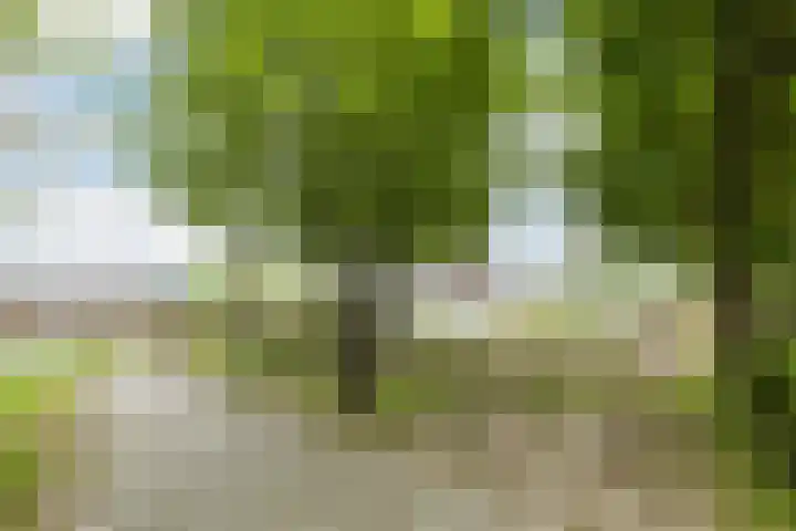 Willem de Zwijgerlaan 207 3 Amsterdam thumbnail 25