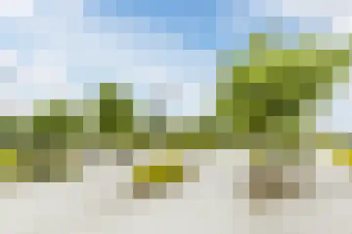 Willem de Zwijgerlaan 207 3 Amsterdam thumbnail 27