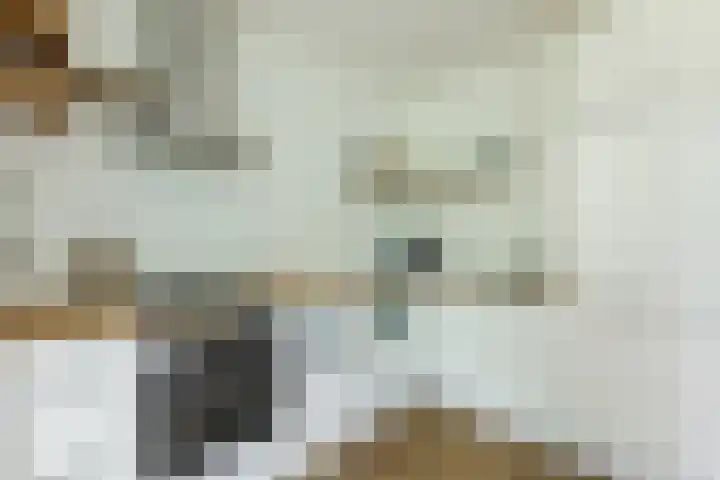 Willem de Zwijgerlaan 207 3 Amsterdam thumbnail 4