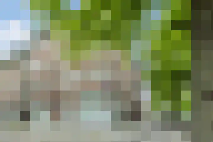 Willem de Zwijgerlaan 207 3 Amsterdam thumbnail 5