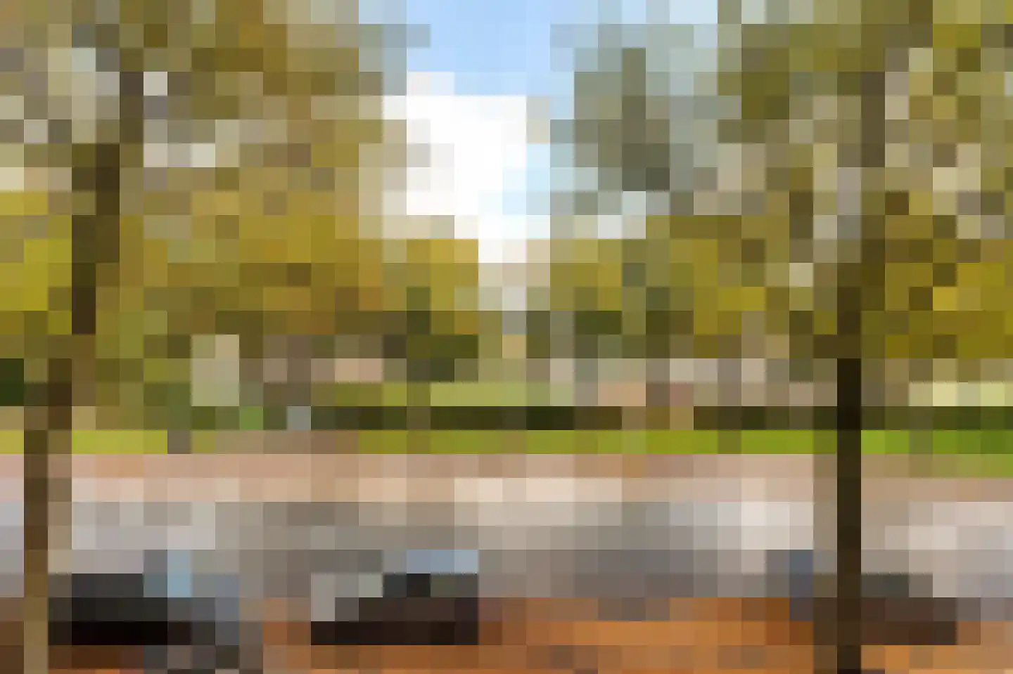 Willem de Zwijgerlaan 209 1 Amsterdam thumbnail 10