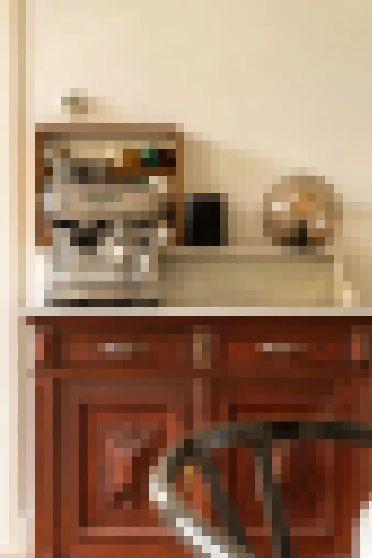 Willem de Zwijgerlaan 209 1 Amsterdam thumbnail 11