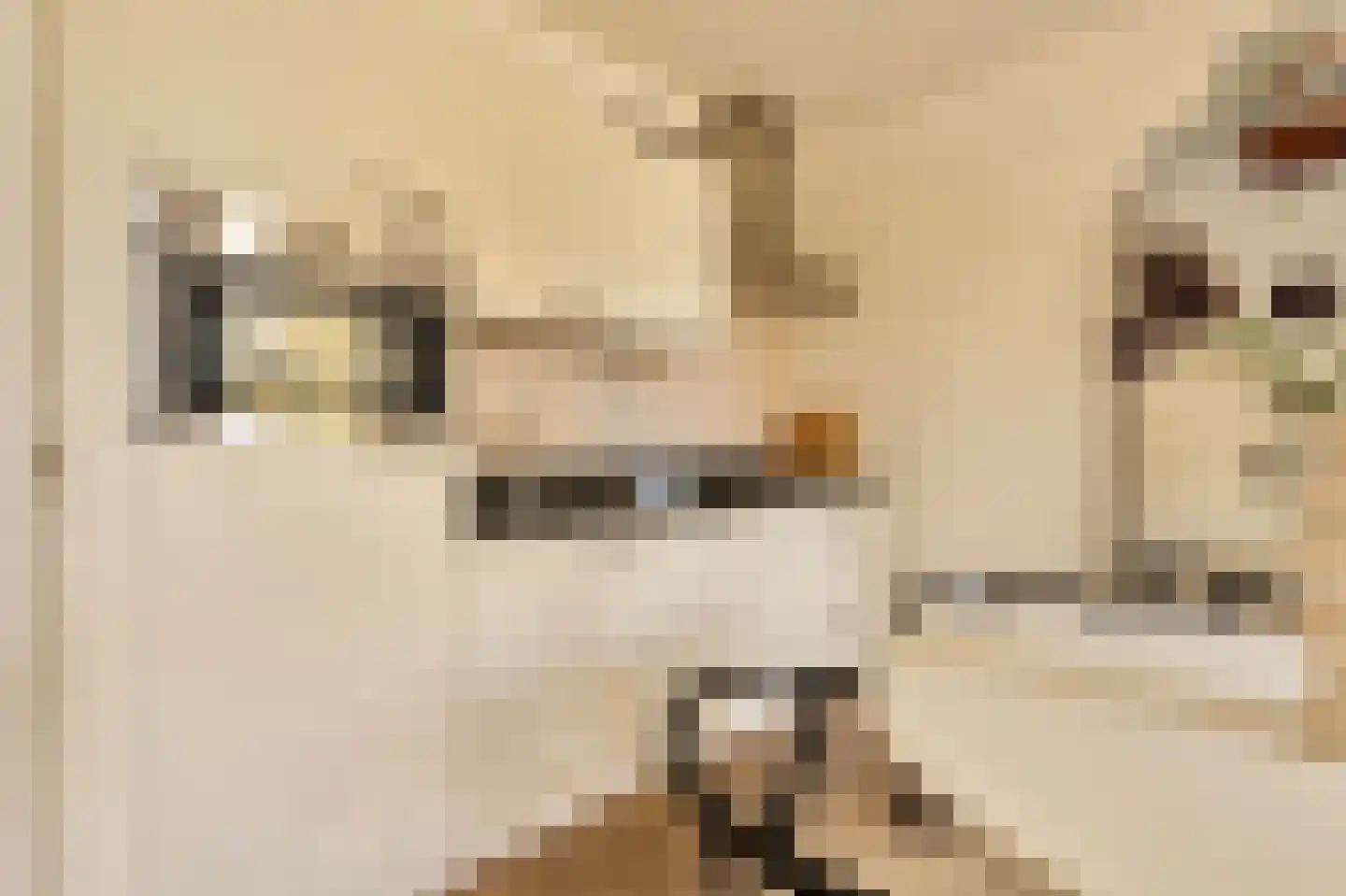 Willem de Zwijgerlaan 209 1 Amsterdam thumbnail 12