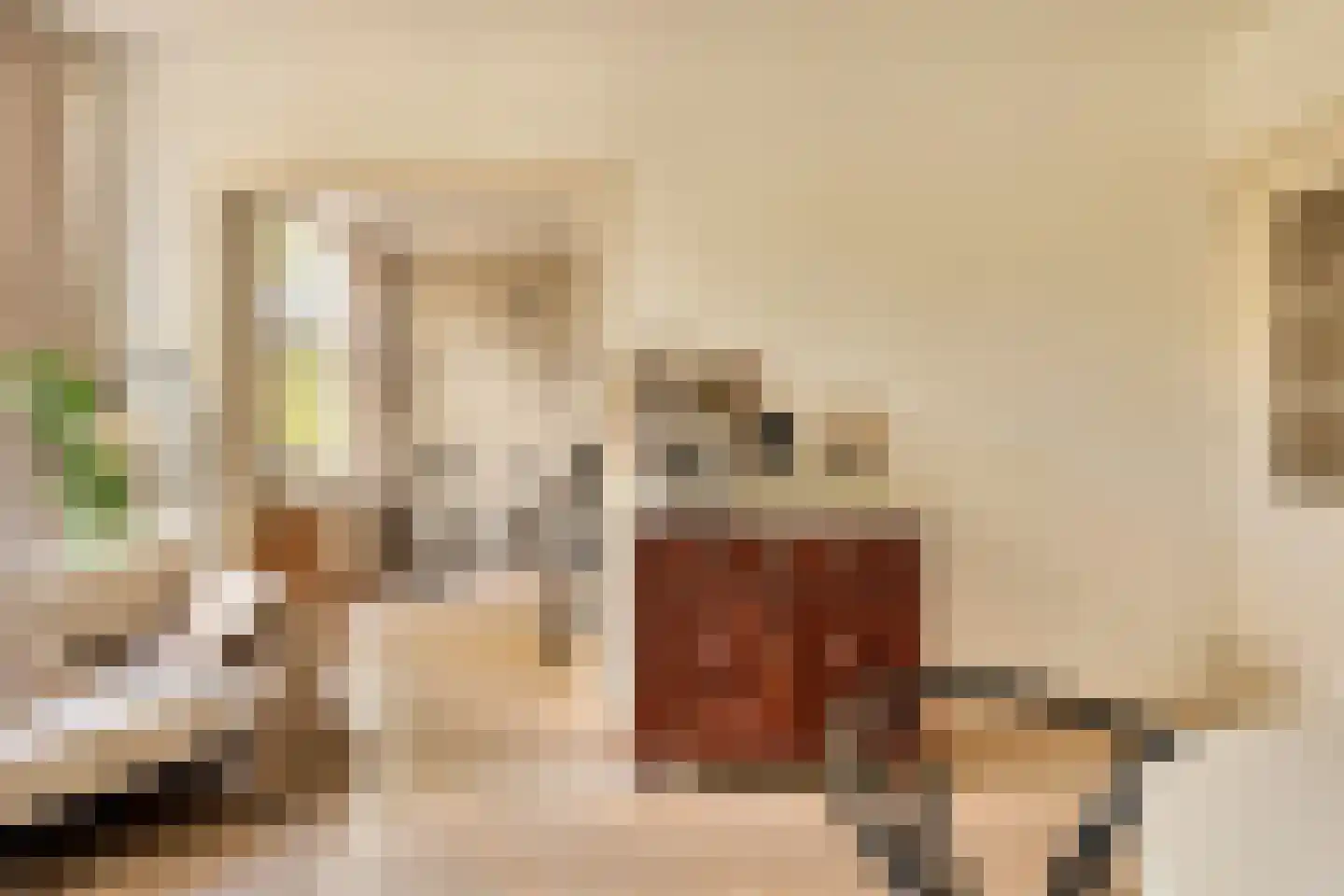 Willem de Zwijgerlaan 209 1 Amsterdam thumbnail 14