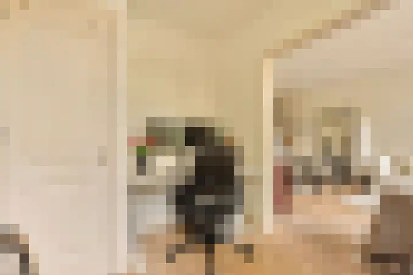 Willem de Zwijgerlaan 209 1 Amsterdam thumbnail 15