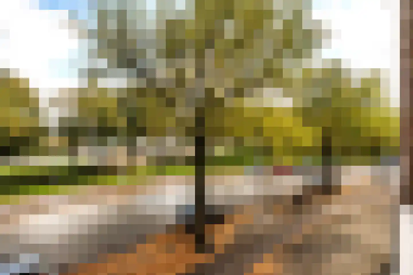 Willem de Zwijgerlaan 209 1 Amsterdam thumbnail 16
