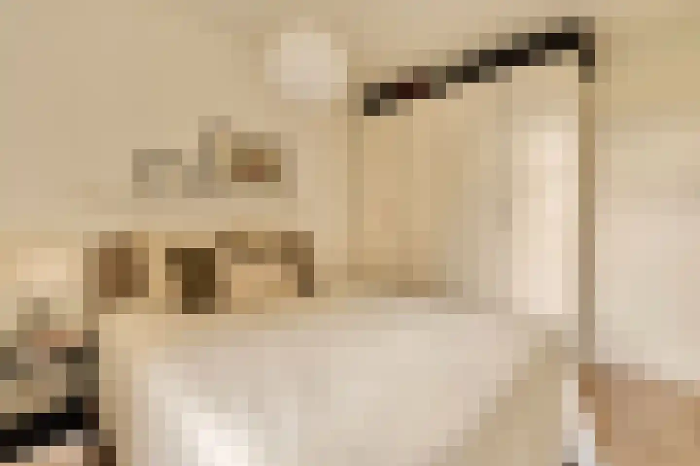Willem de Zwijgerlaan 209 1 Amsterdam thumbnail 18